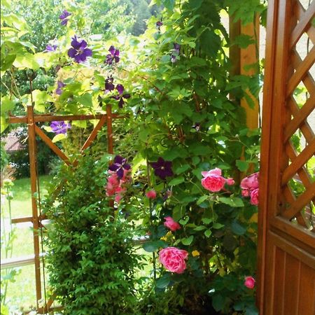Apartment Mit Gartenblick Eckersdorf エクステリア 写真