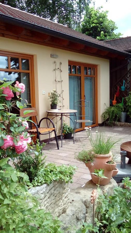 Apartment Mit Gartenblick Eckersdorf エクステリア 写真