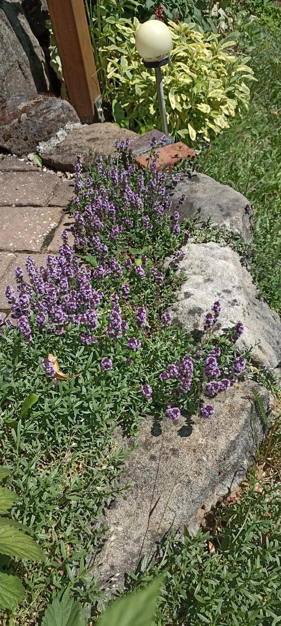 Apartment Mit Gartenblick Eckersdorf エクステリア 写真