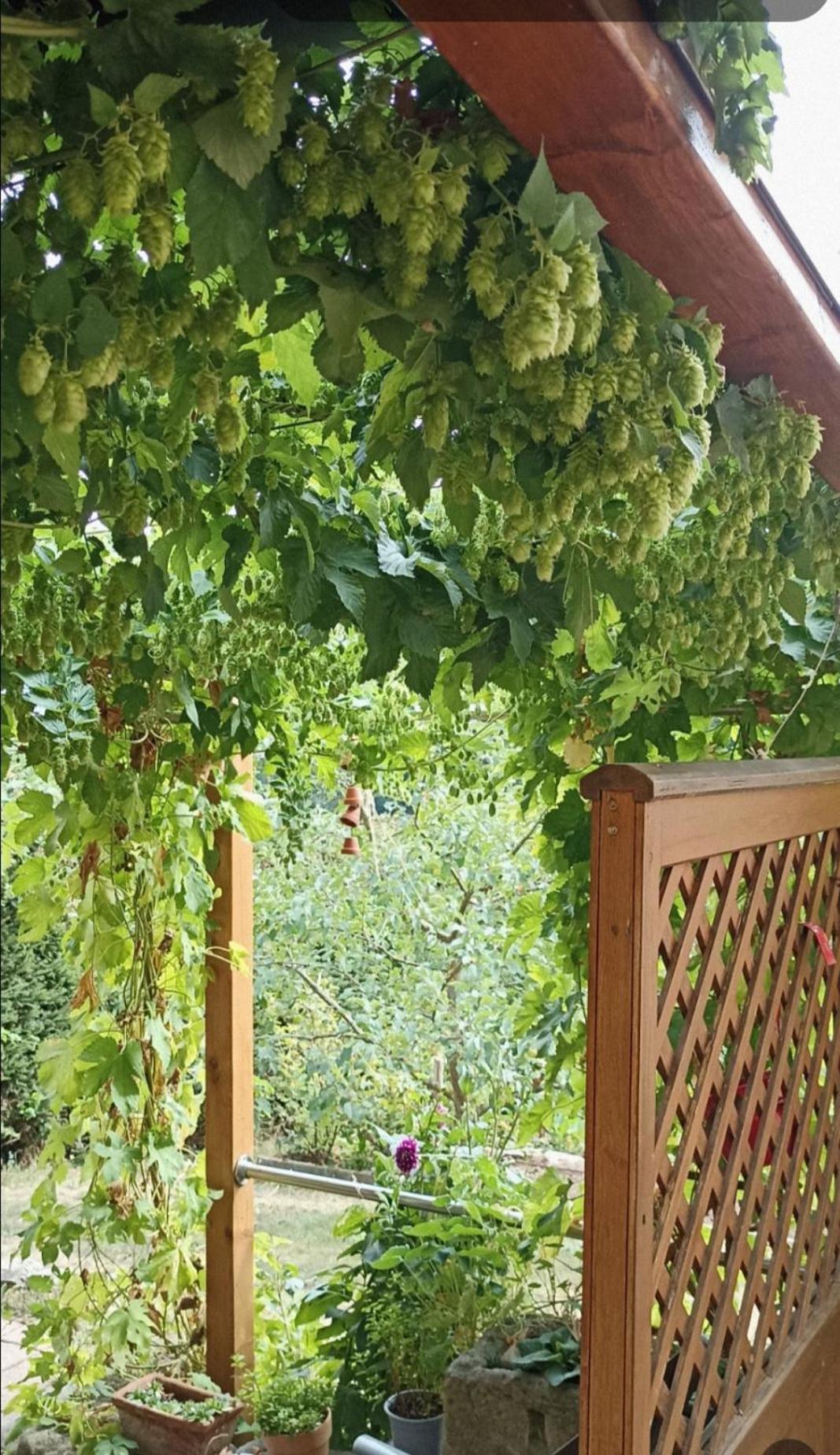 Apartment Mit Gartenblick Eckersdorf エクステリア 写真