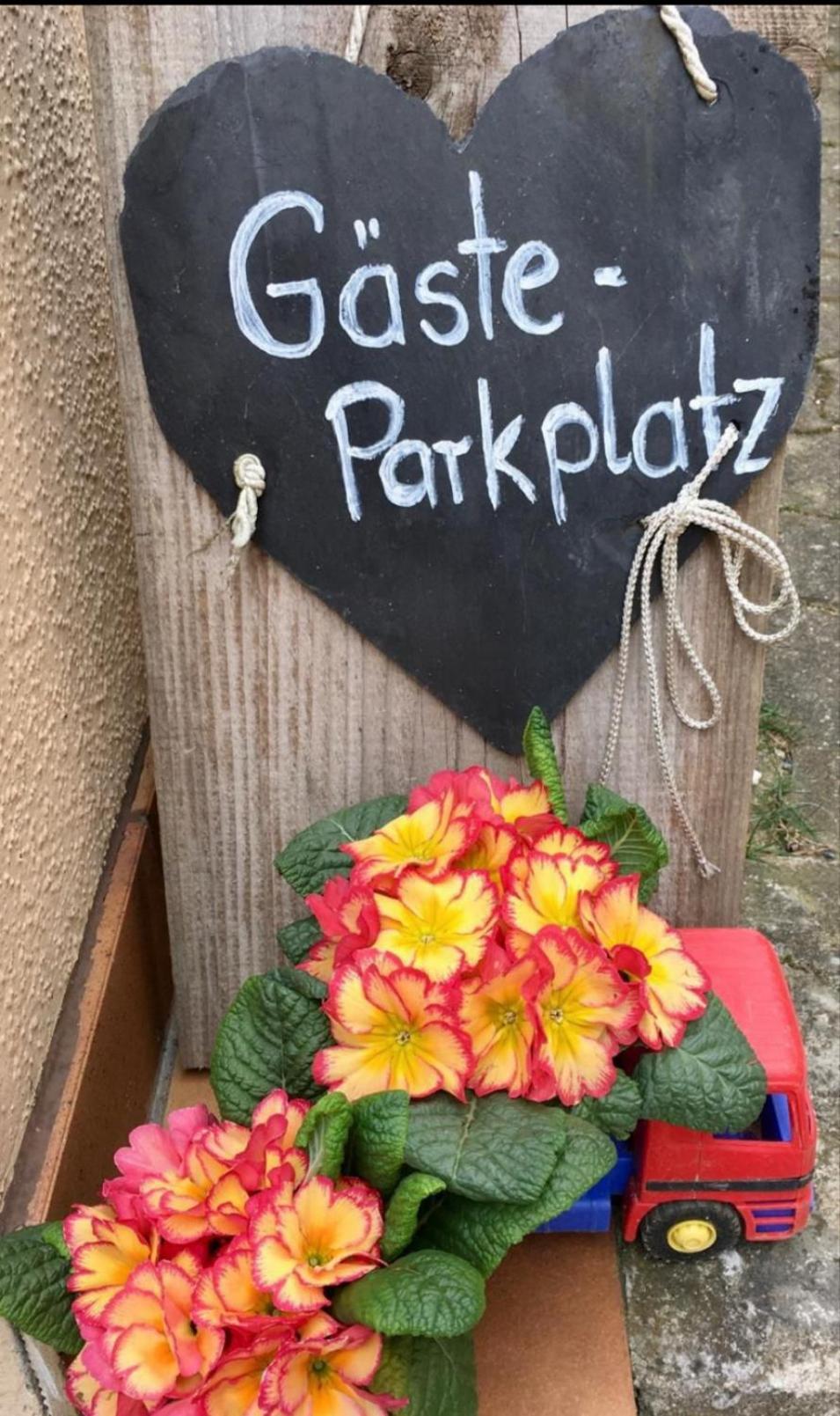 Apartment Mit Gartenblick Eckersdorf エクステリア 写真