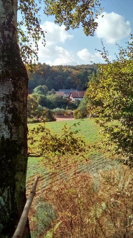 Apartment Mit Gartenblick Eckersdorf エクステリア 写真