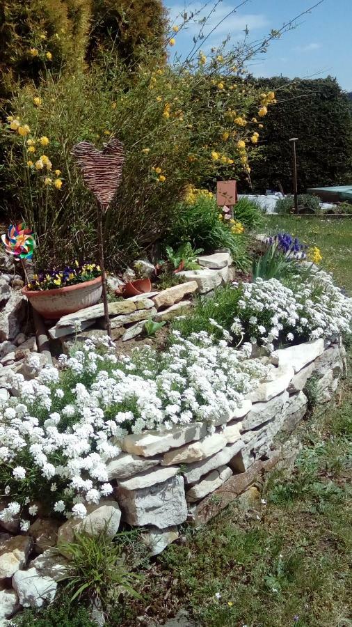 Apartment Mit Gartenblick Eckersdorf エクステリア 写真
