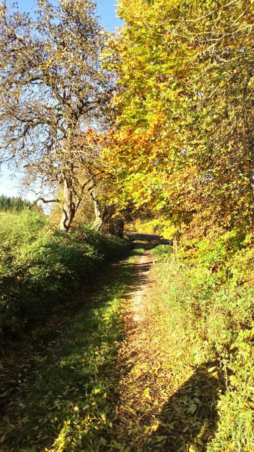 Apartment Mit Gartenblick Eckersdorf エクステリア 写真