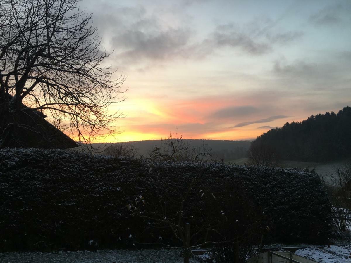 Apartment Mit Gartenblick Eckersdorf エクステリア 写真